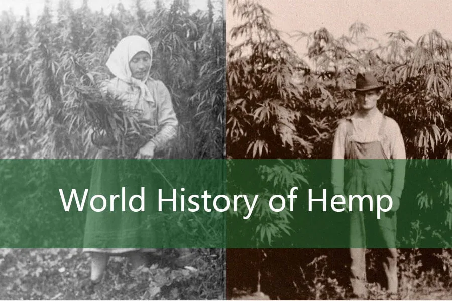 The Development History of Hemp: From Ancient Cultivation to Modern Applications 7 World History of Hemp