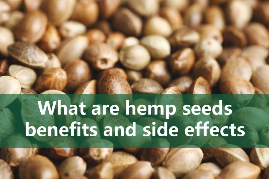 hemp seeds benefits and side effects