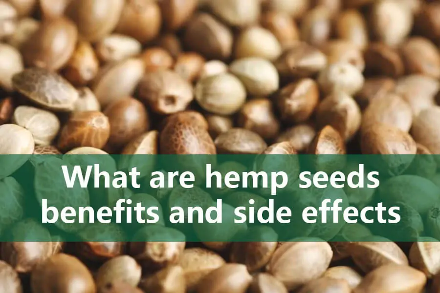 hemp seeds benefits and side effects
