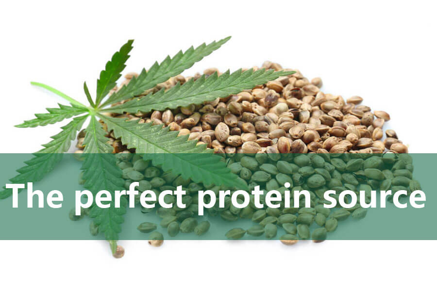 Hemp seed - the perfect protein source