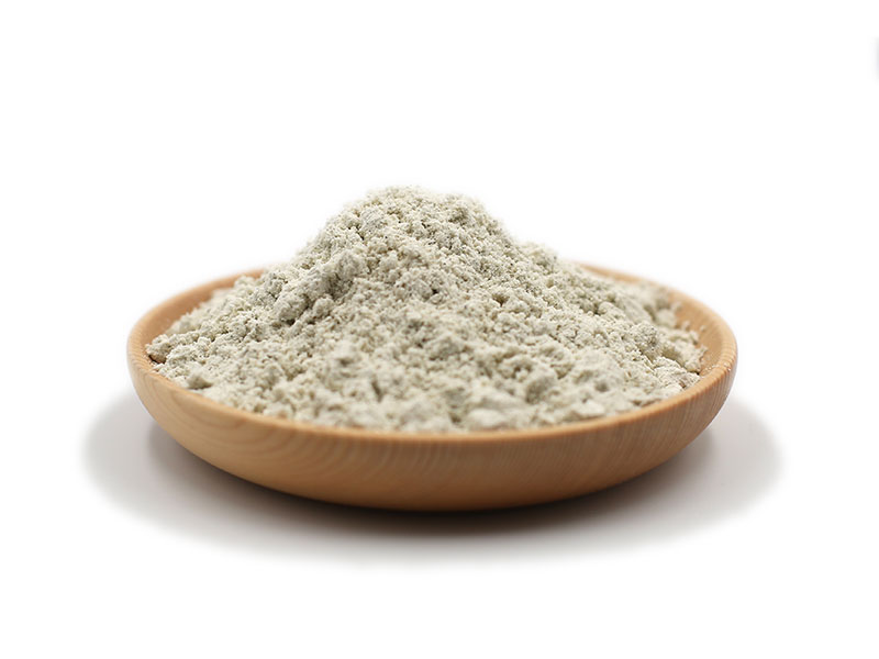 Comprehensive analysis and forecast of the hemp protein market