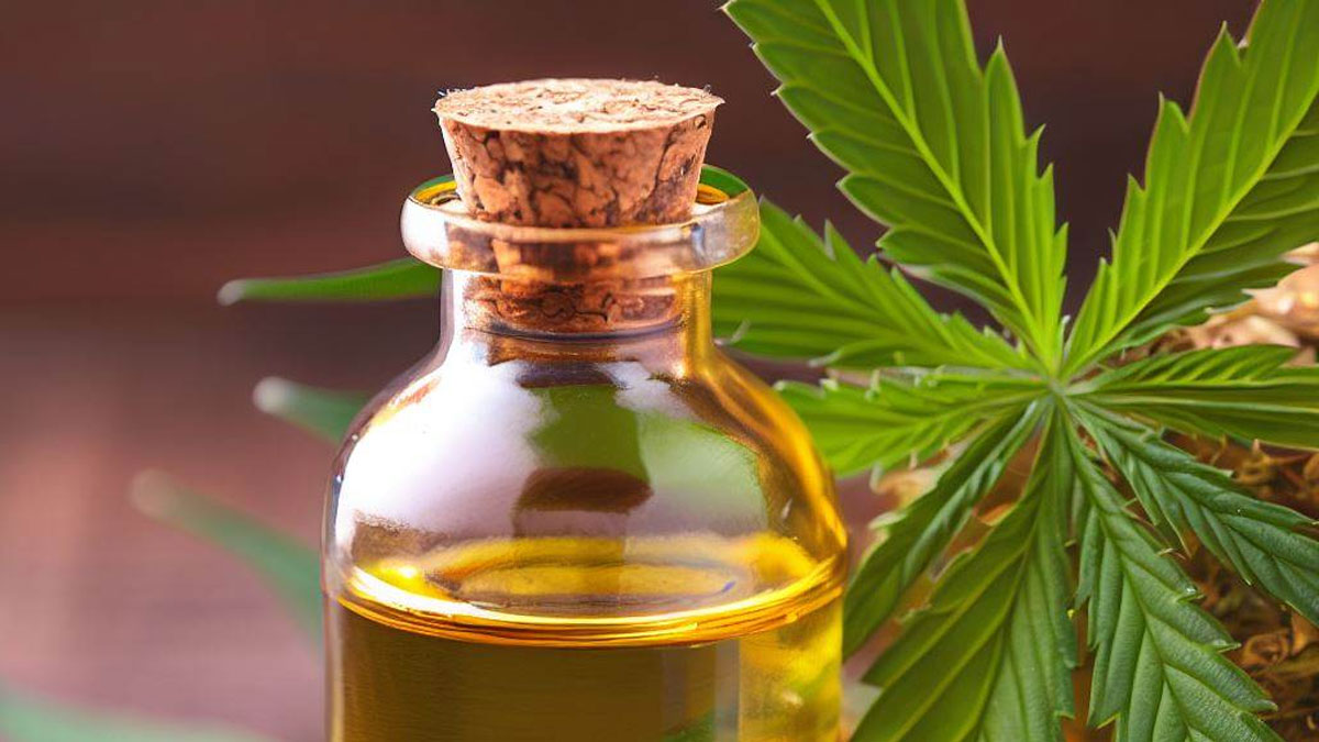 Discover the Benefits of Organic Hemp Seed Oil for Your Skin and Hair.