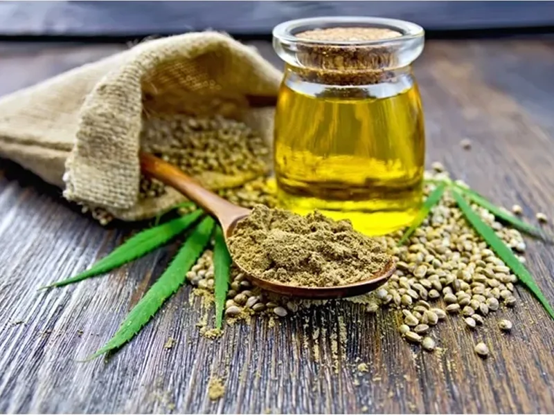 Sustainability Through Organic Hemp Cultivation and Hemp Seed Oil Production 7 hemp seed oil