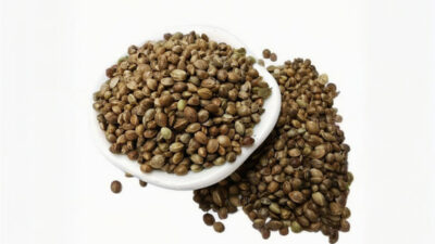 Organic Whole Hemp Seeds Bulk 3mm - USDA/EU Certified, Non-GMO, High Oil Yield ≥30%