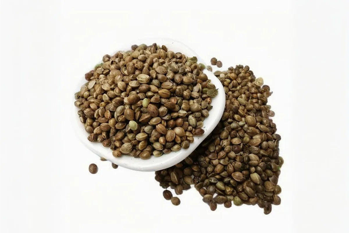 Organic Hemp Seeds 1 Organic Whole Hemp Seeds Bulk 3mm - USDA/EU Certified, Non-GMO, High Oil Yield ≥30%