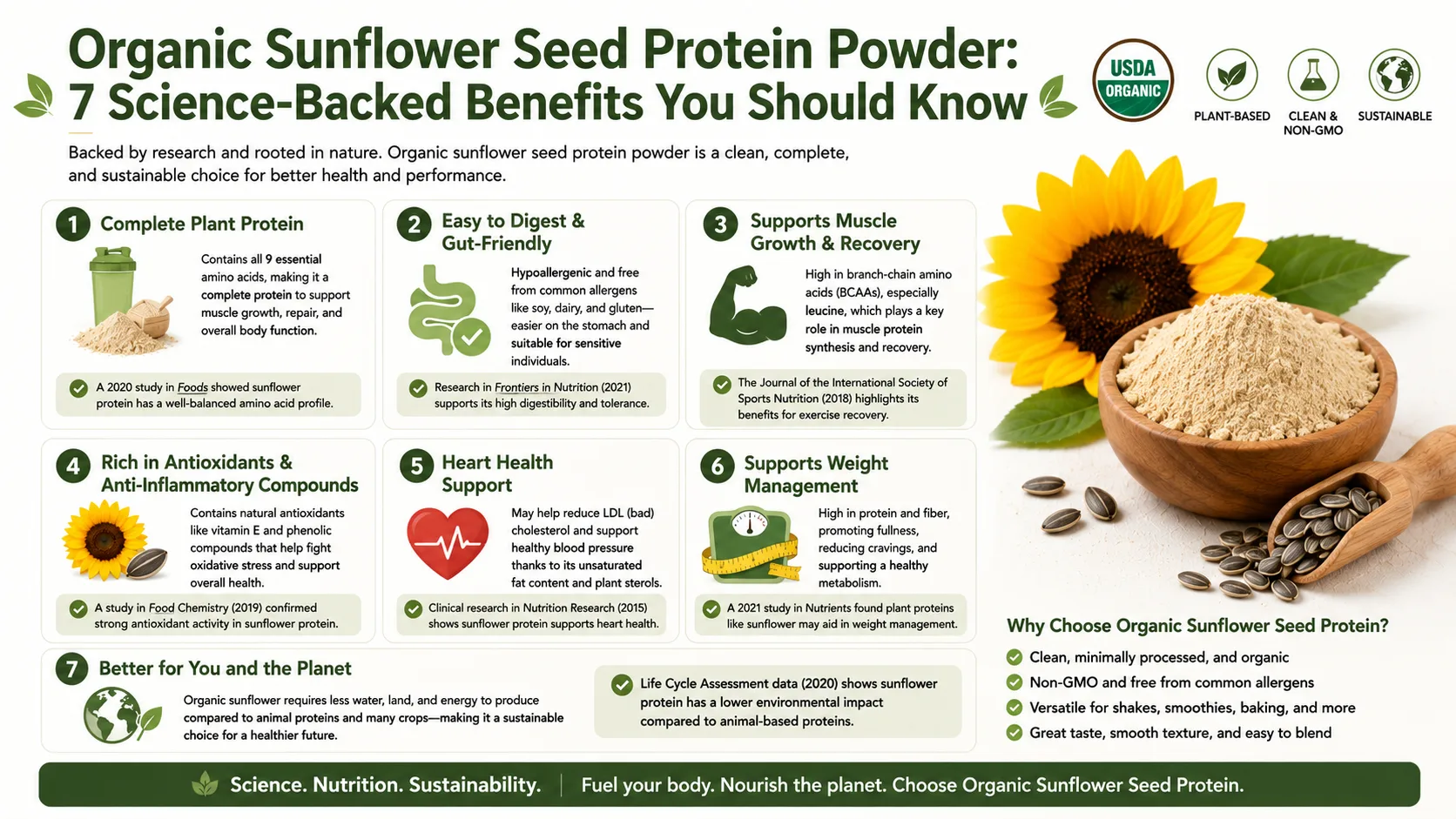 Organic Sunflower Seed Protein Powder 7 Science-Backed Benefits You Should Know