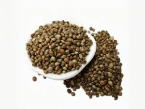 organic hemp seeds